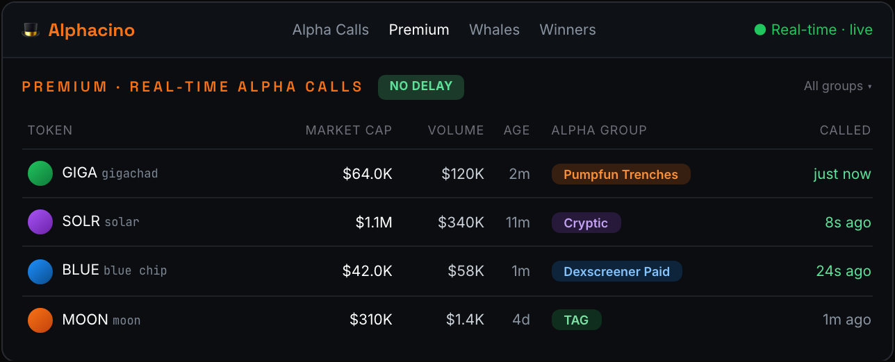 AlphaCino Premium real-time feed